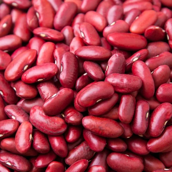 Cowpea seed
