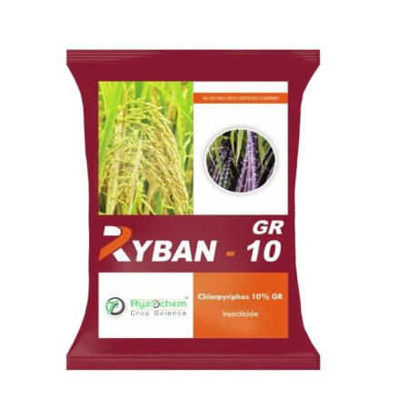 Chlorpyrifos 10% Granules Pesticides